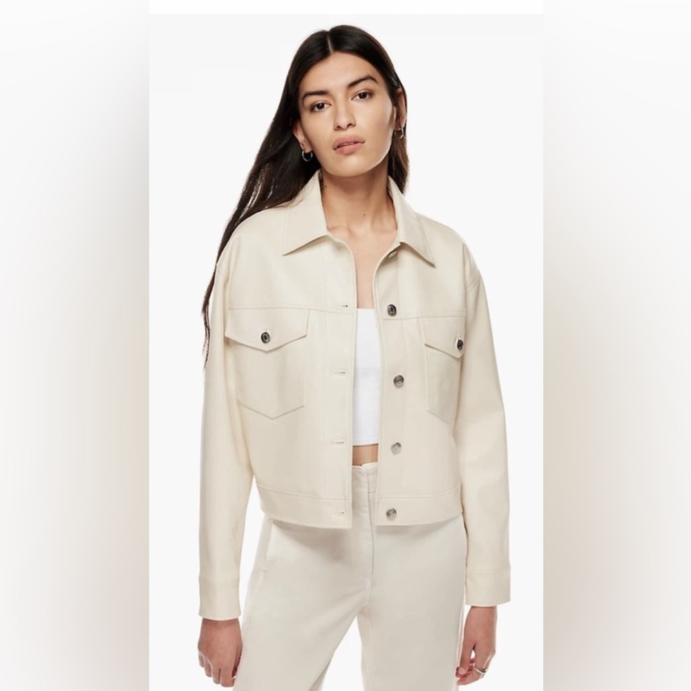 Aritzia jacket